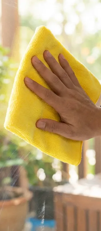 Expert Window Cleaning in Bradenton, FL